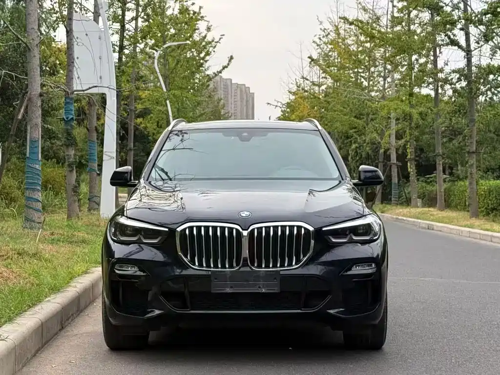 BMW X5 (Import) — миниатюра 2