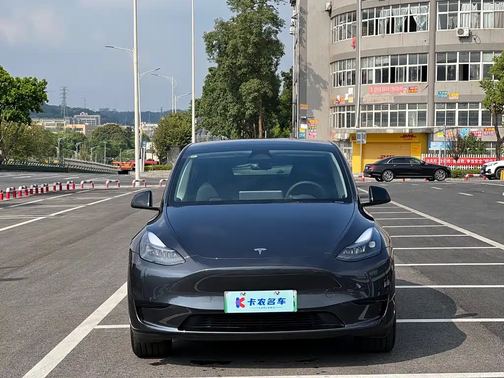 Tesla Model Y — миниатюра 2