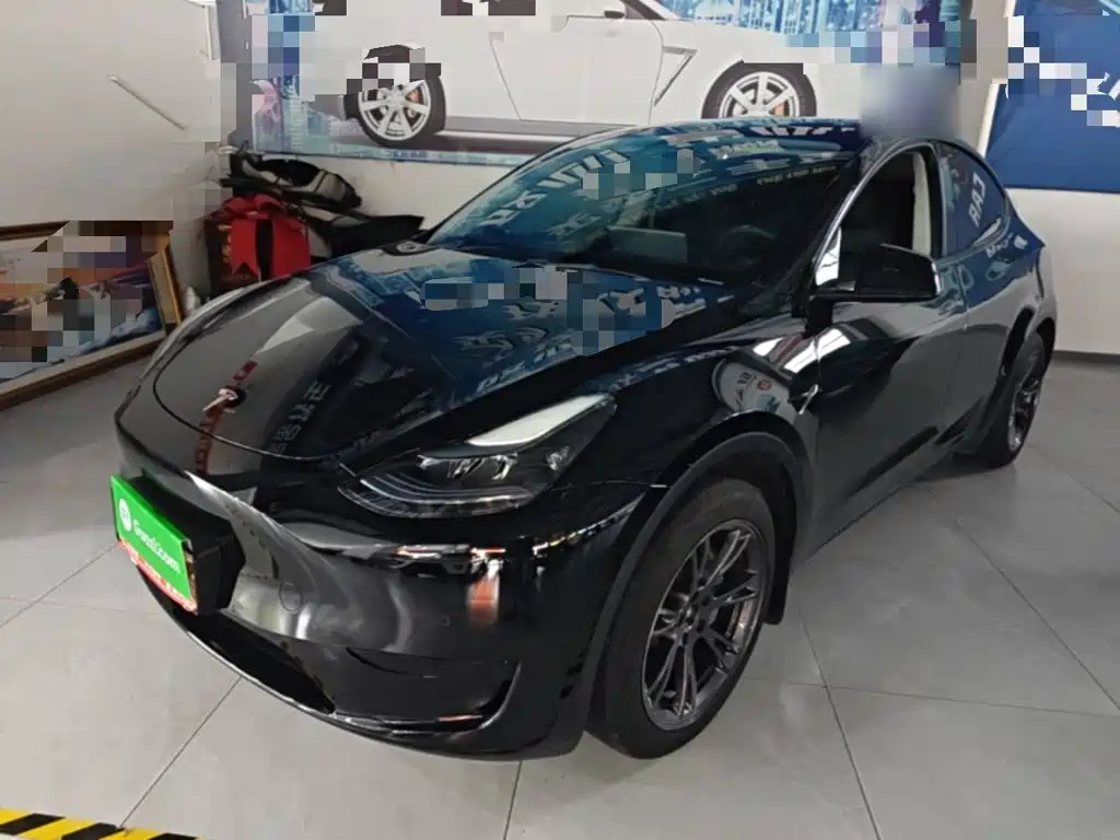 Tesla Model Y — миниатюра 2