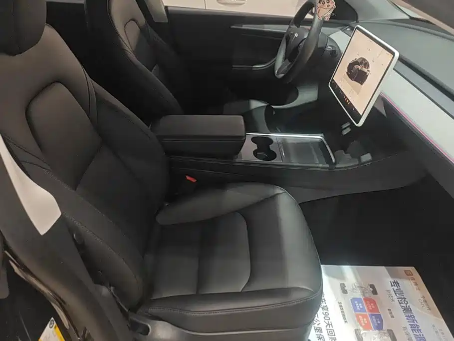 Tesla Model Y — миниатюра 8