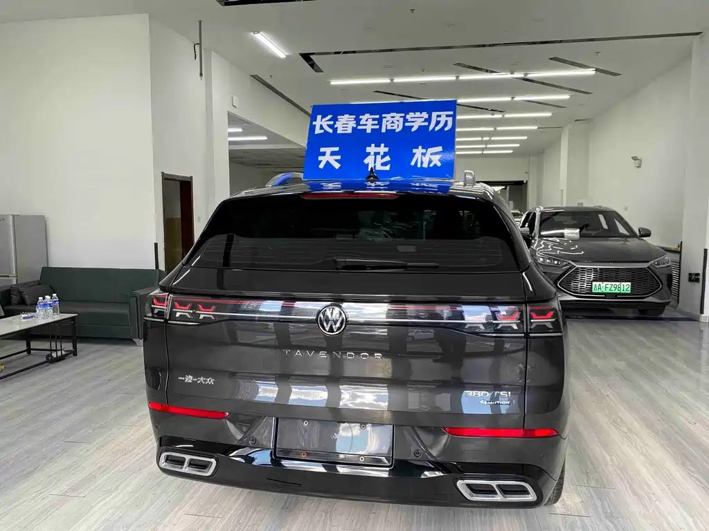 Volkswagen Tavendor — миниатюра 13