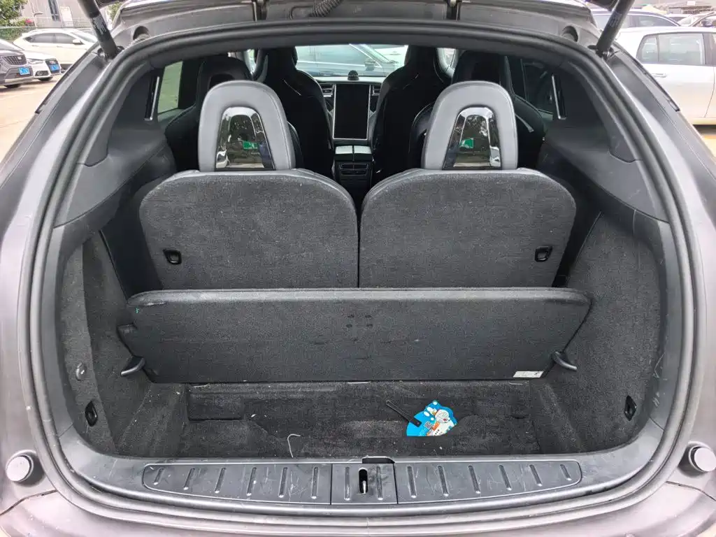 Tesla Model X — миниатюра 10