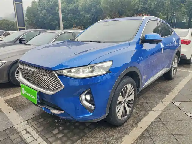 HAVAL F7X