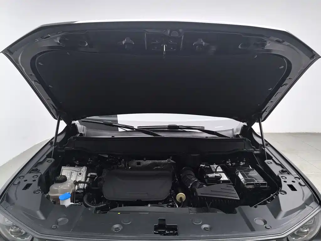 Haval Haval Big Dog PLUS — миниатюра 6