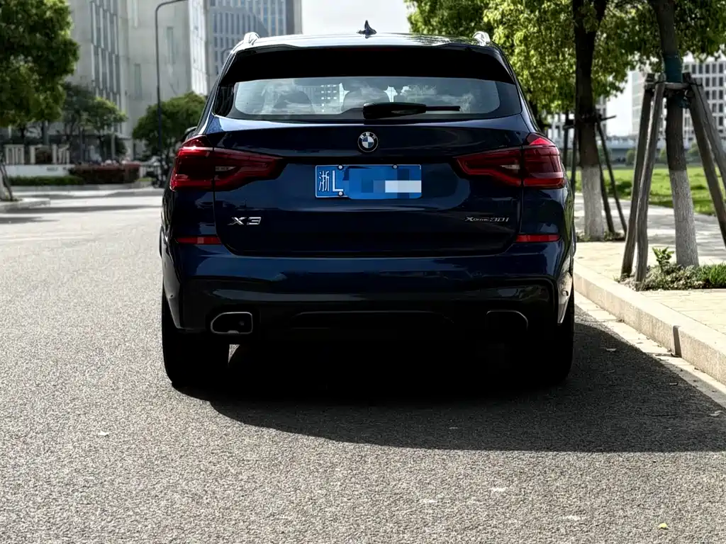 BMW X3 2019 xDrive30i Lead M Sport