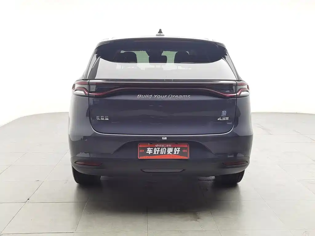 BYD Tang New Energy — миниатюра 4