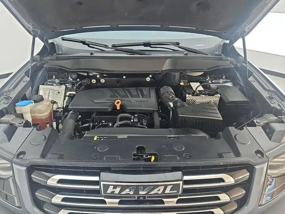 Haval 长城大狗 — миниатюра 10