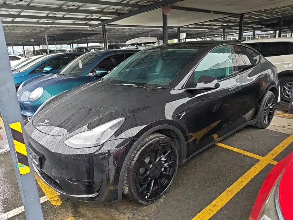 Tesla Model Y — миниатюра 2