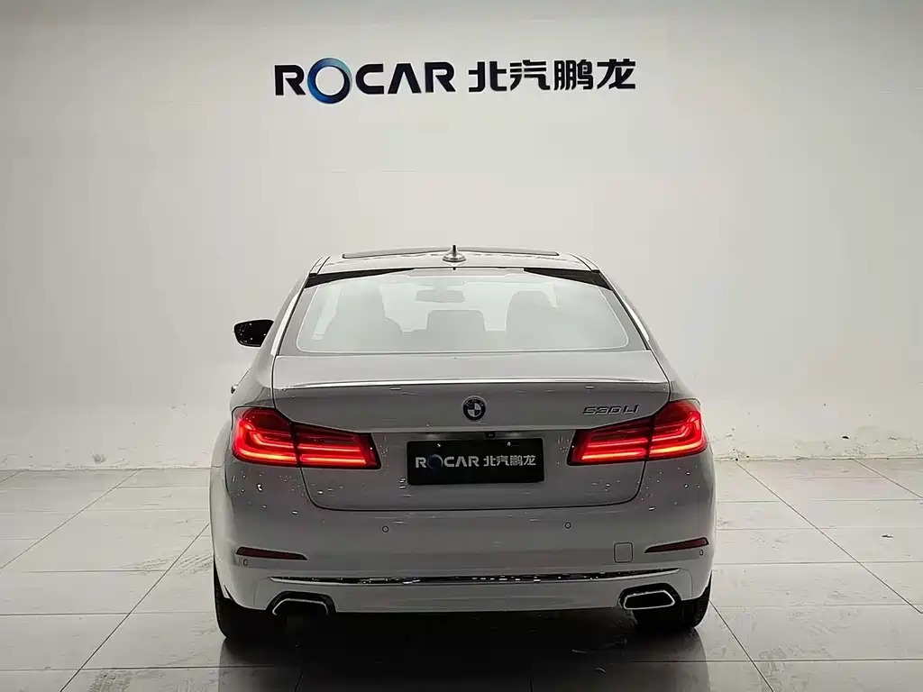 BMW 5 Series 5 2019 530Li Lead Luxury