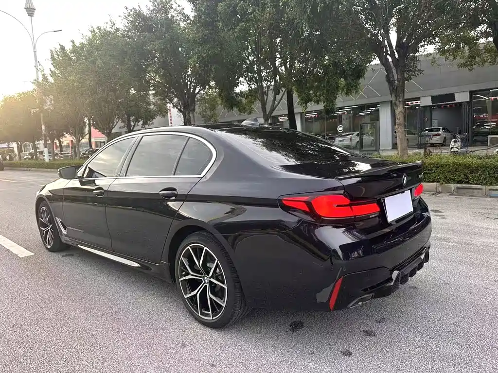 BMW 5 Series — миниатюра 8