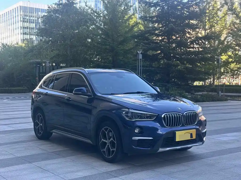 BMW X1 — миниатюра 2