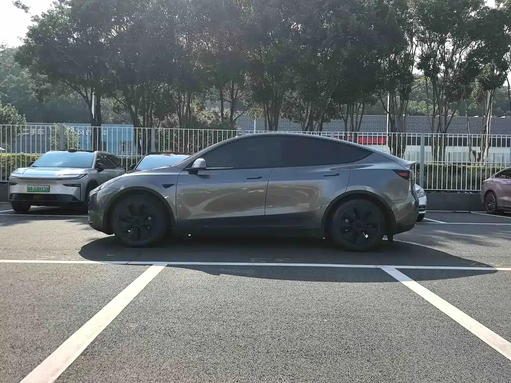 Tesla Model Y — миниатюра 5