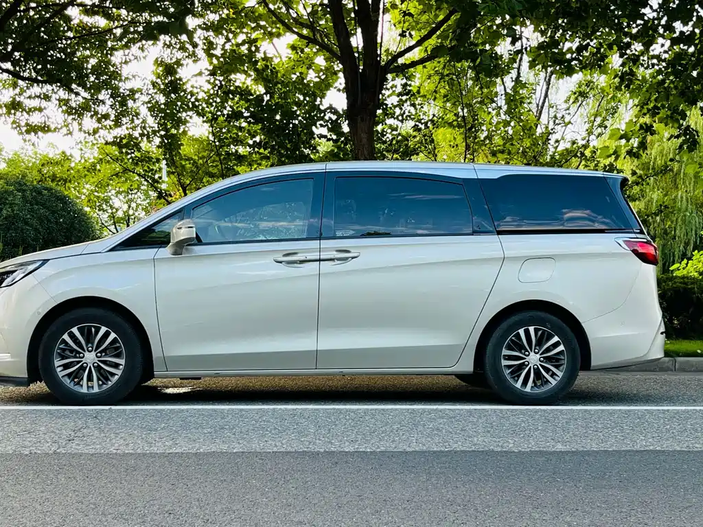 Buick GL8 — миниатюра 7