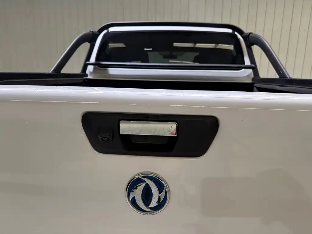 Dongfeng Rich 6 New Energy — миниатюра 18