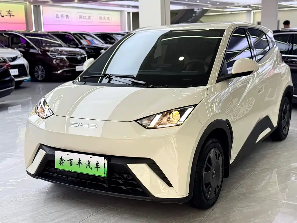 BYD Seagull