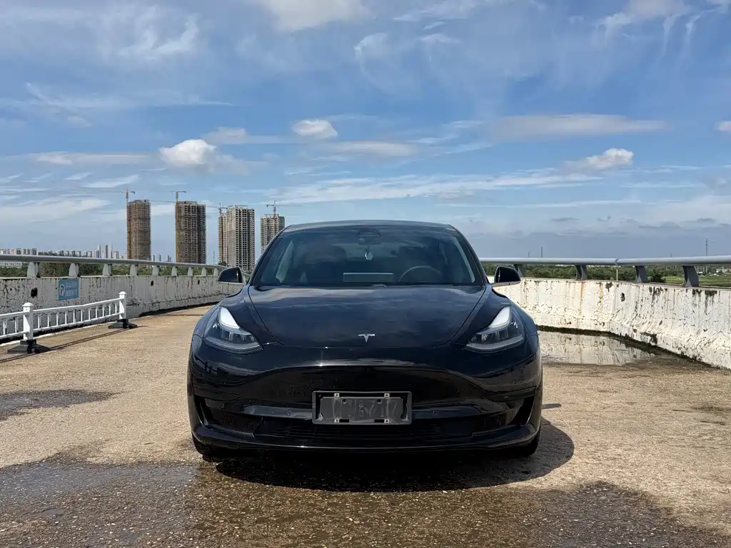 Tesla Model 3 — миниатюра 2