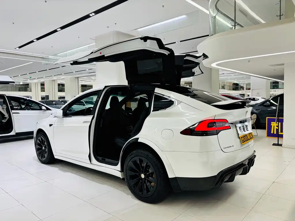 Tesla Model X — миниатюра 4