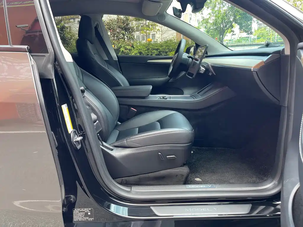 Tesla Model Y — миниатюра 10