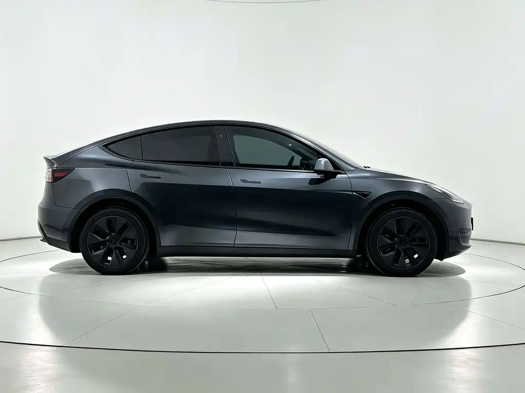 Tesla Model Y — миниатюра 8