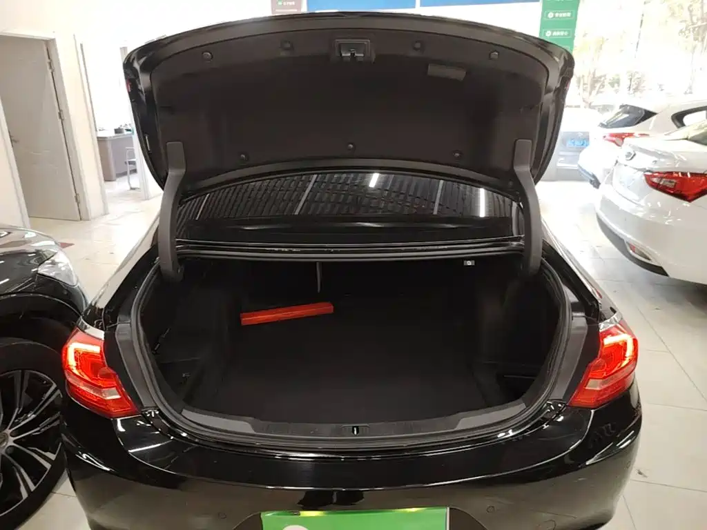 Buick LaCrosse — миниатюра 19