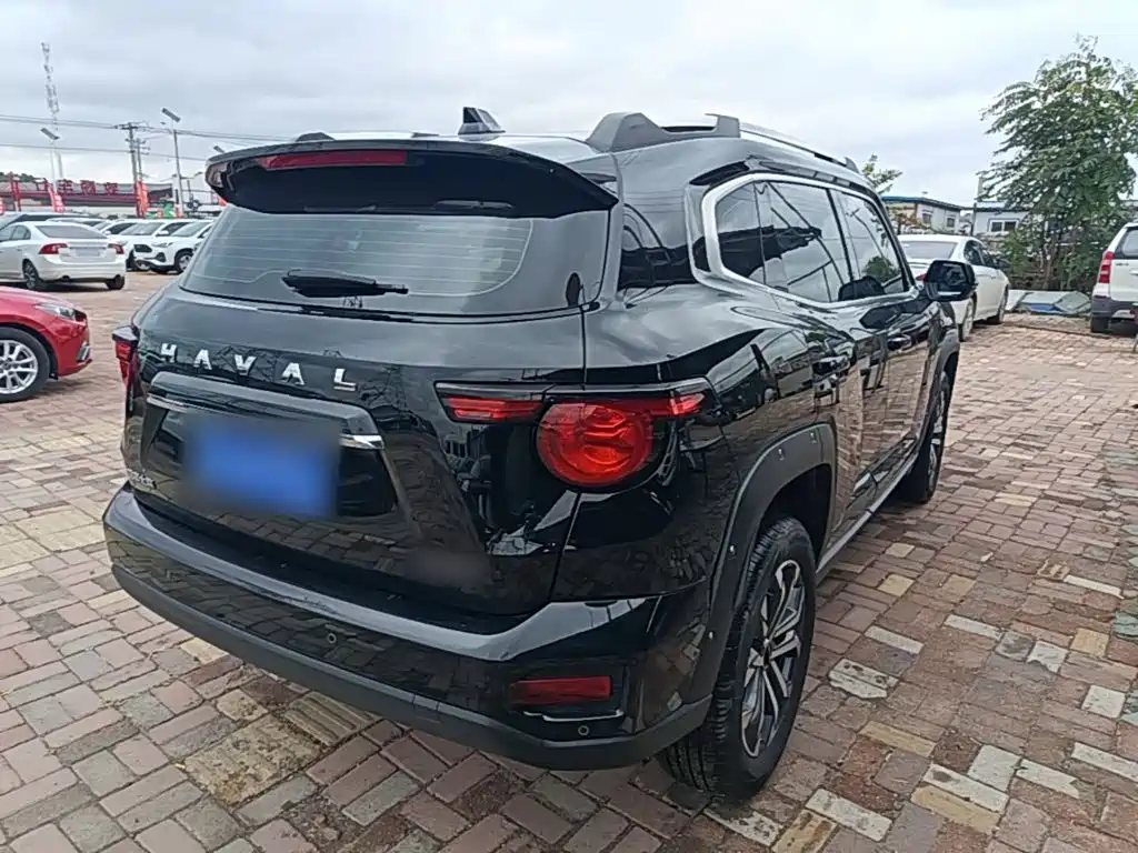 Haval Big Dog PLUS — миниатюра 7