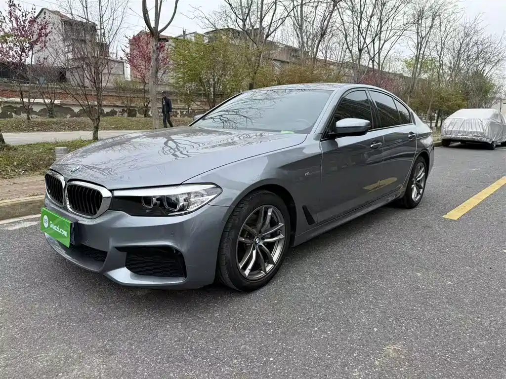 BMW 5 Series (Import) 2019
