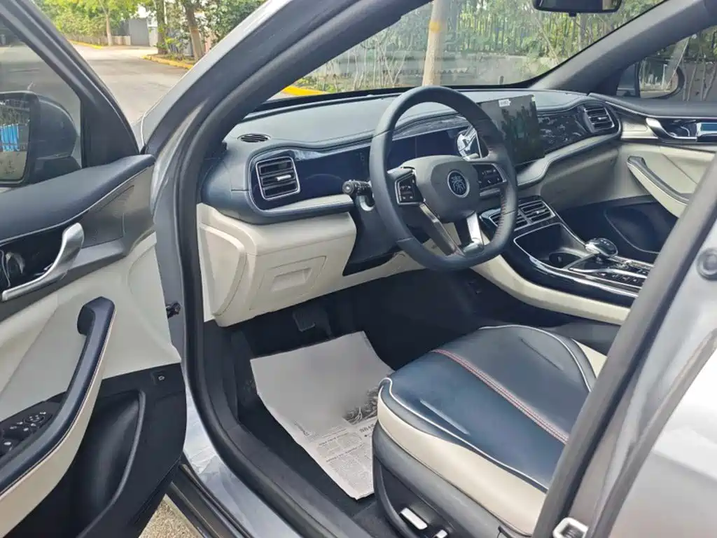 BYD Qin PLUS — миниатюра 12