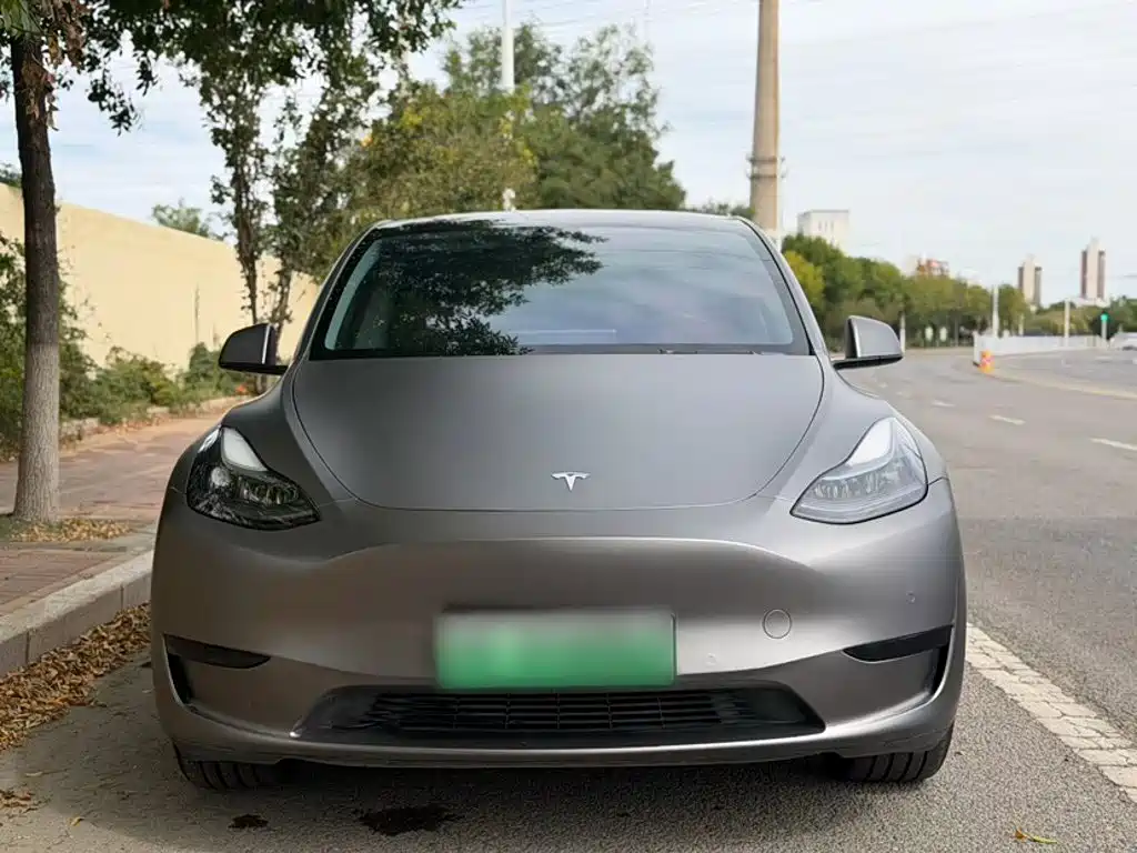 Tesla Model Y — миниатюра 3