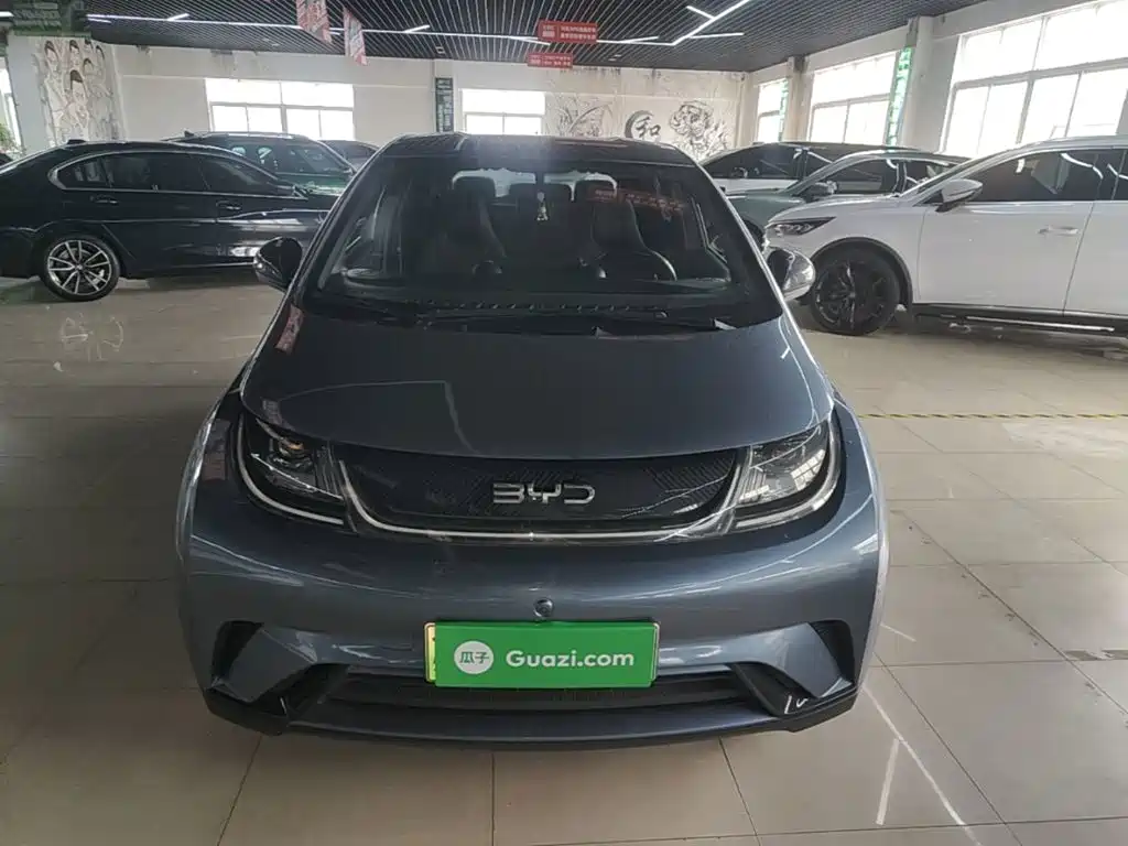 BYD Dolphin — миниатюра 3