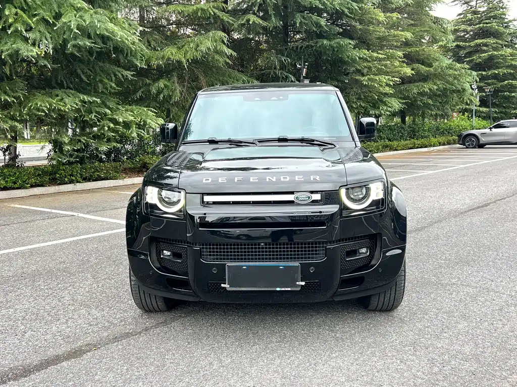 Land Rover Defender — миниатюра 5