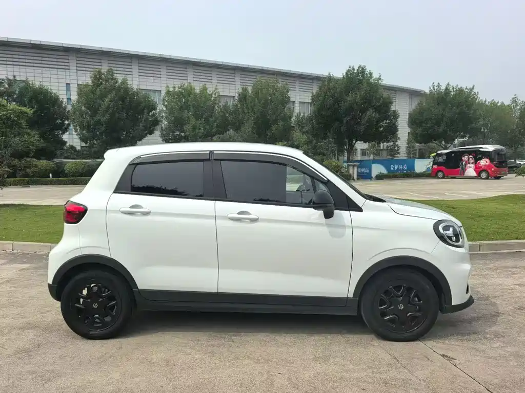 Leapmotor T03 2024 310