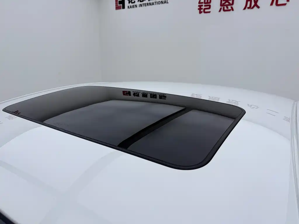 Buick Regal — миниатюра 19
