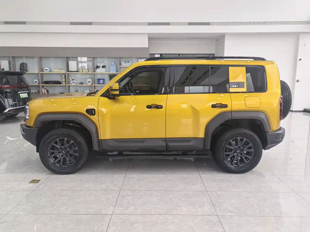 FANG CHENG BAO LEOPARD 5