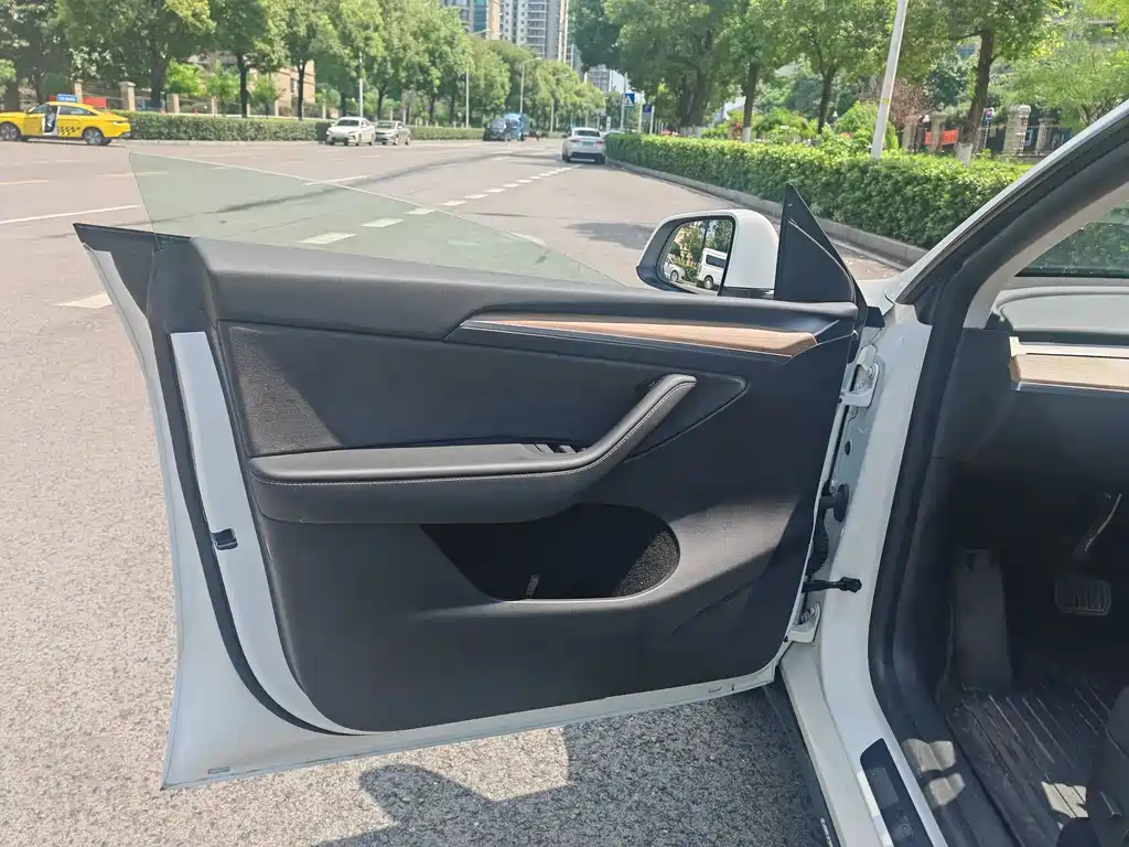 Tesla Model Y — миниатюра 20