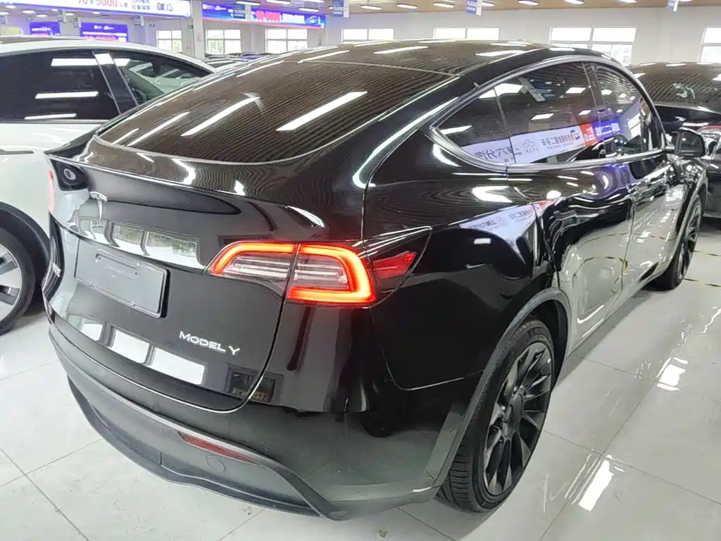 Tesla Model Y — миниатюра 7