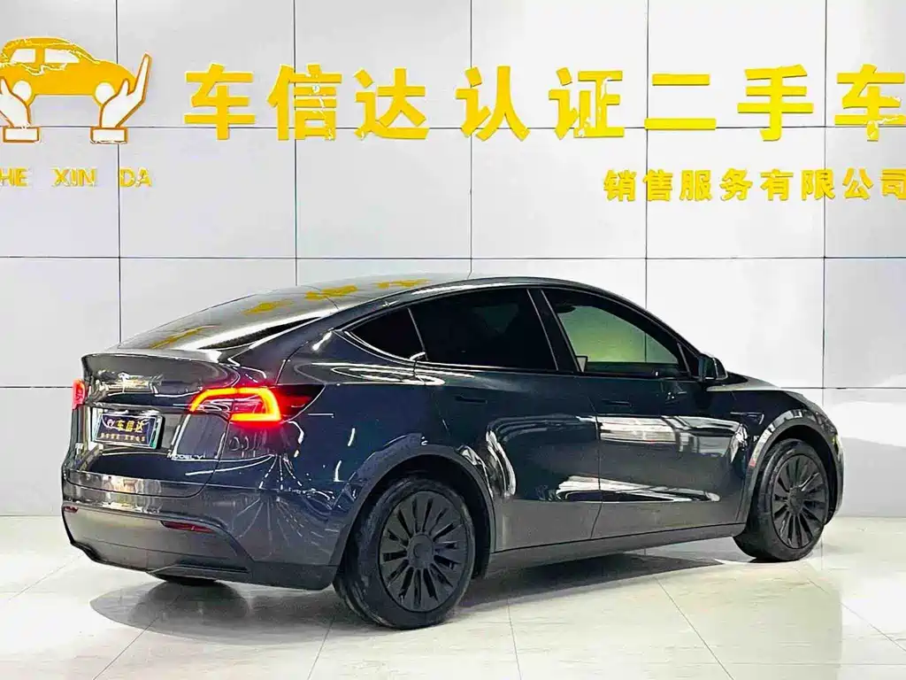 Tesla Model Y — миниатюра 3