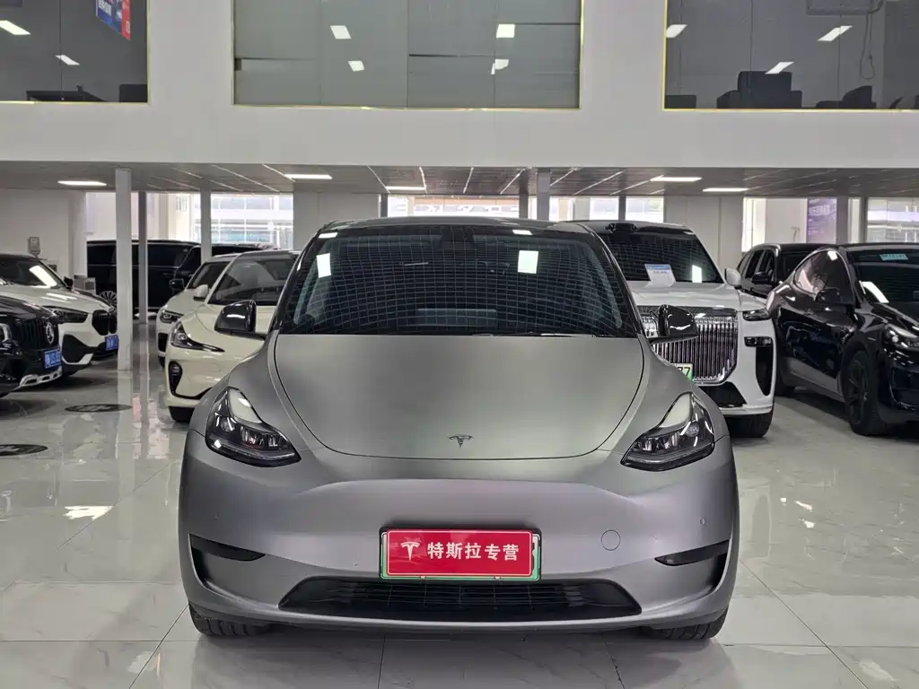 Tesla Model Y — миниатюра 2
