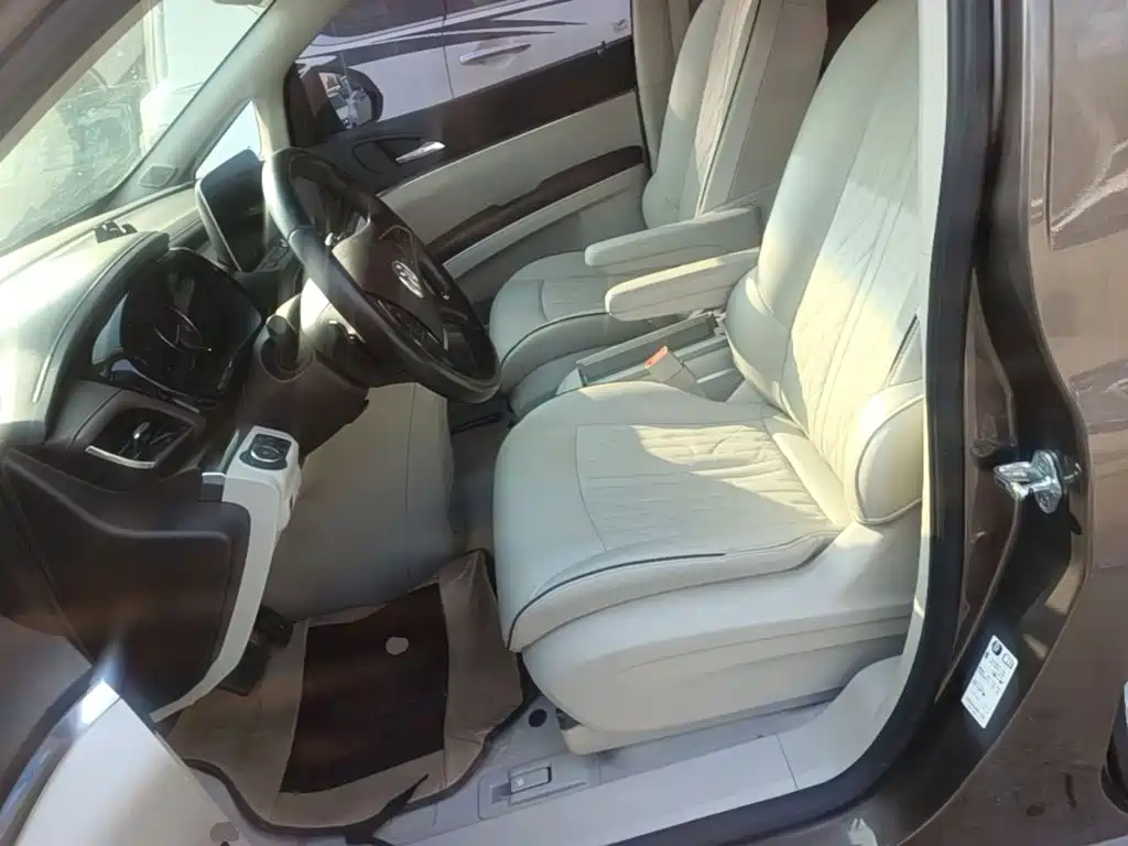 Buick GL8 — миниатюра 15