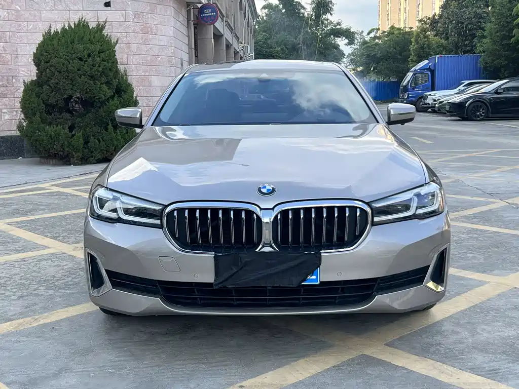 BMW 5 Series 5 2021 530Li Lead Luxury