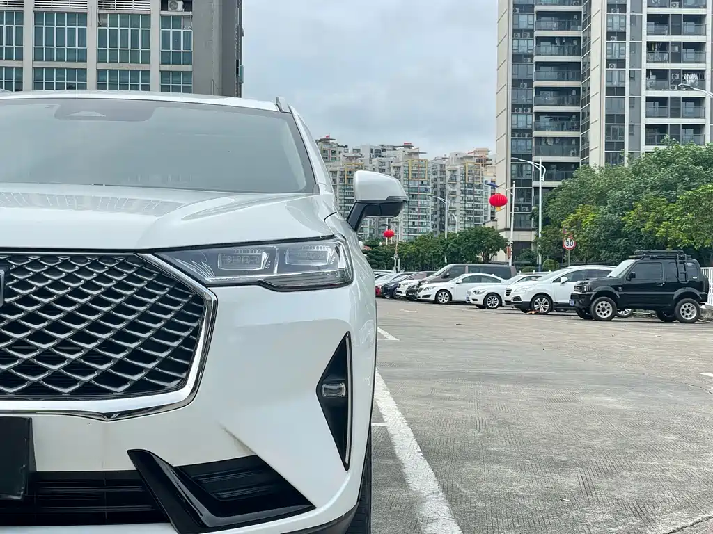 Haval H6 — миниатюра 5