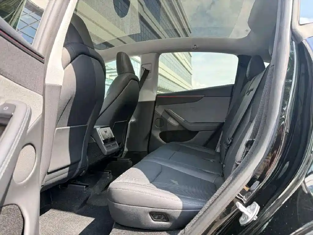 Tesla Model Y — миниатюра 13