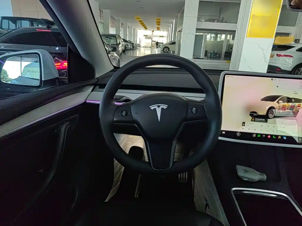 Tesla Model Y — миниатюра 11