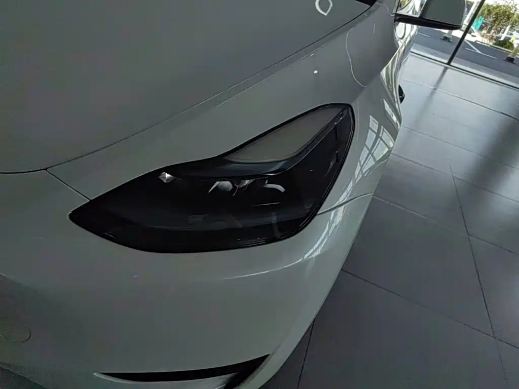Tesla Model Y — миниатюра 24