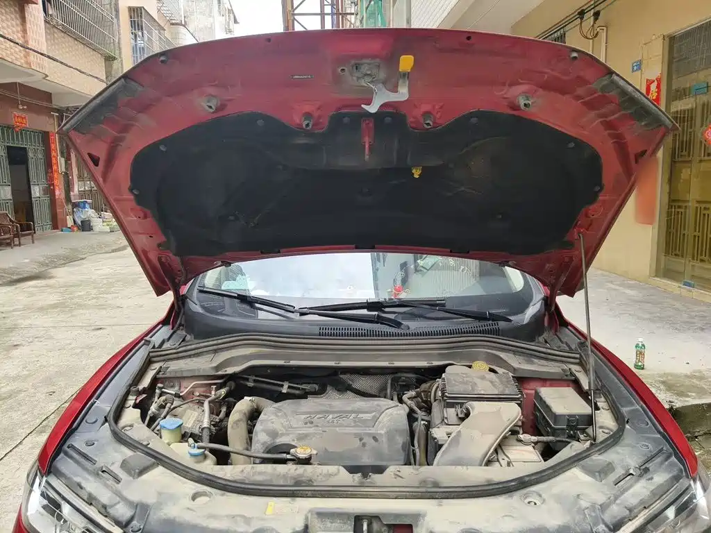 Haval H2s — миниатюра 11