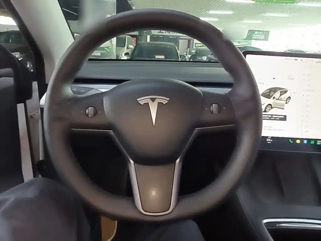 Tesla Model Y — миниатюра 11
