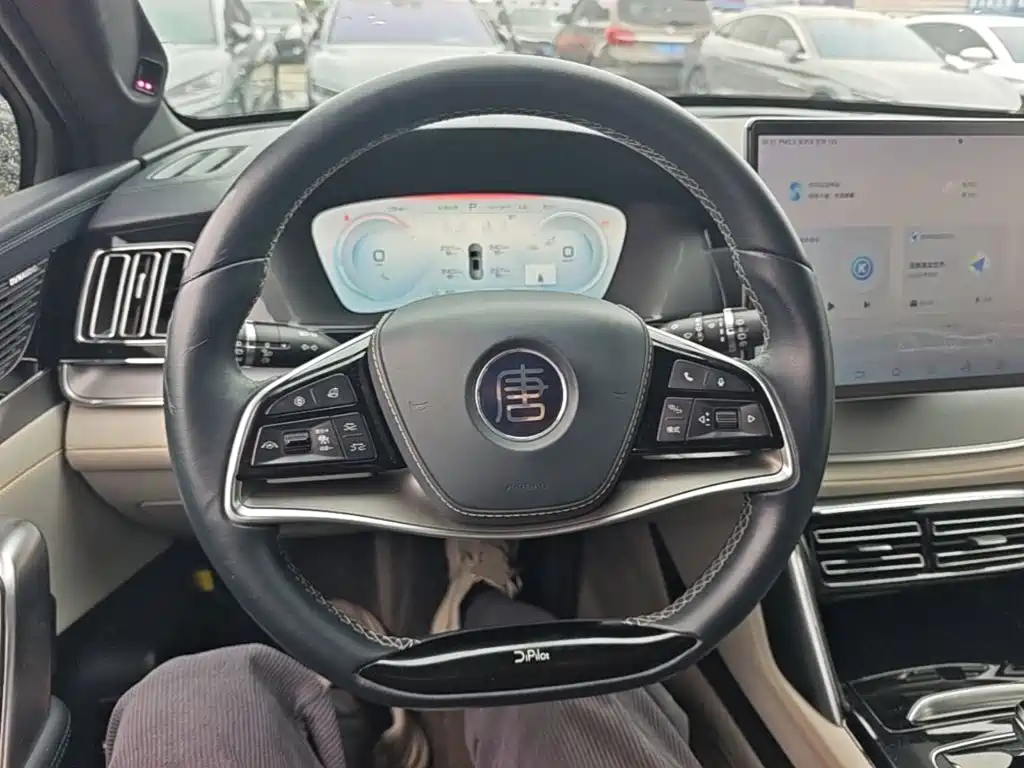 BYD Tang New Energy — миниатюра 11