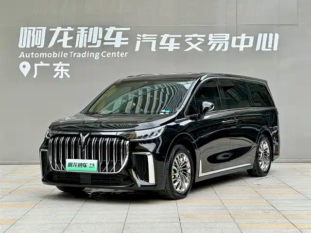 2024 Voyah Dream