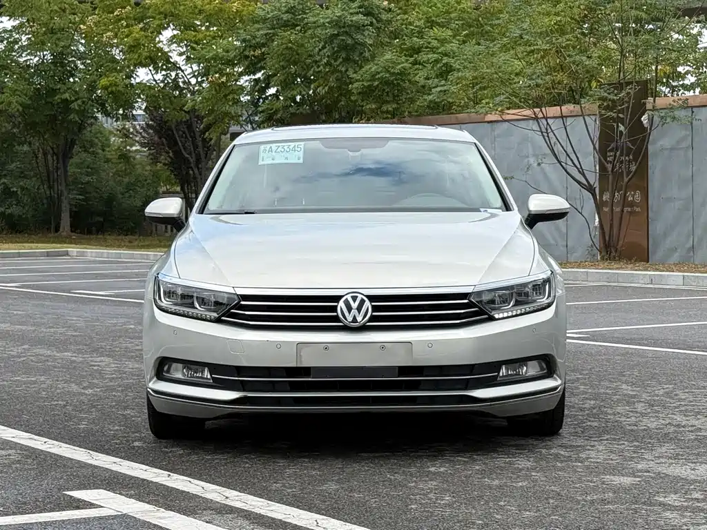 Volkswagen Magotan — миниатюра 2