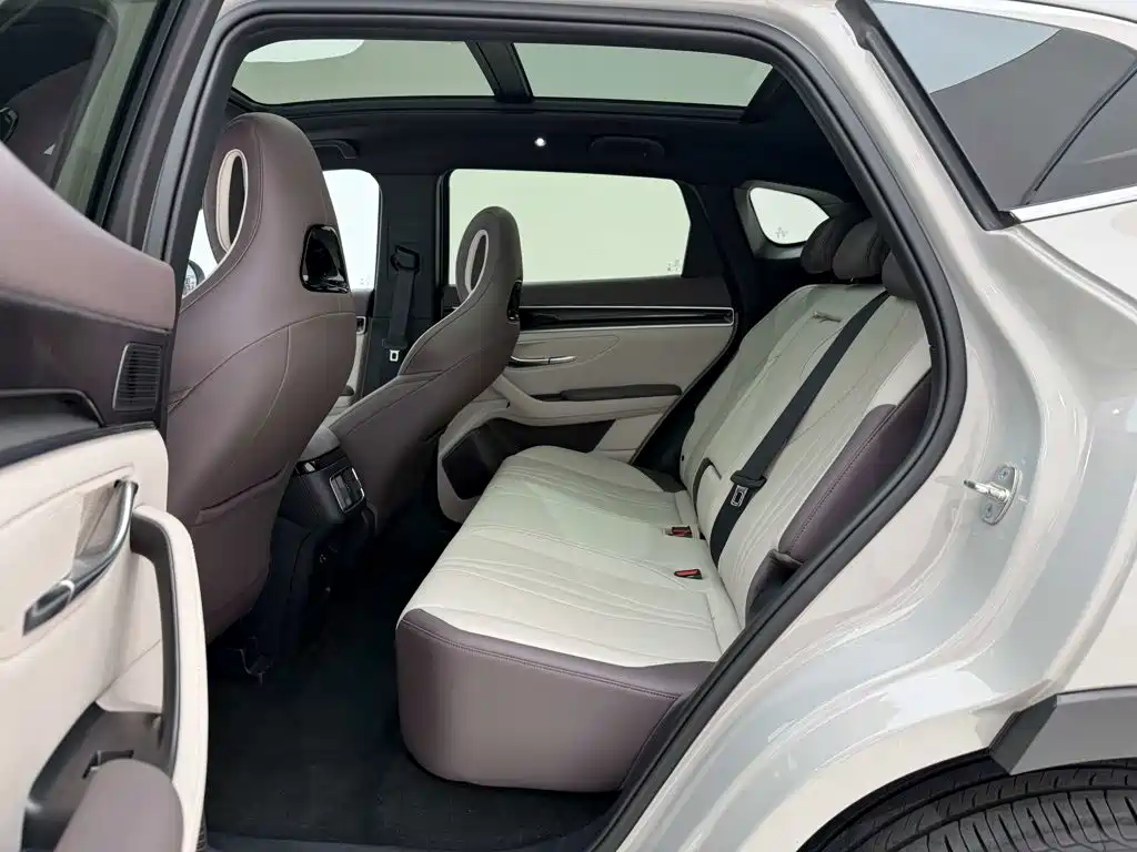 BYD PLUS New Energy — миниатюра 16