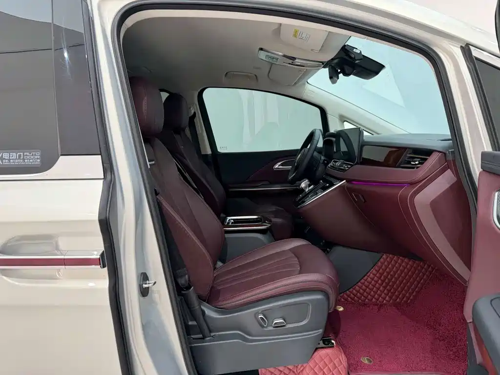 Hongqi Hongqi HQ9 — миниатюра 18